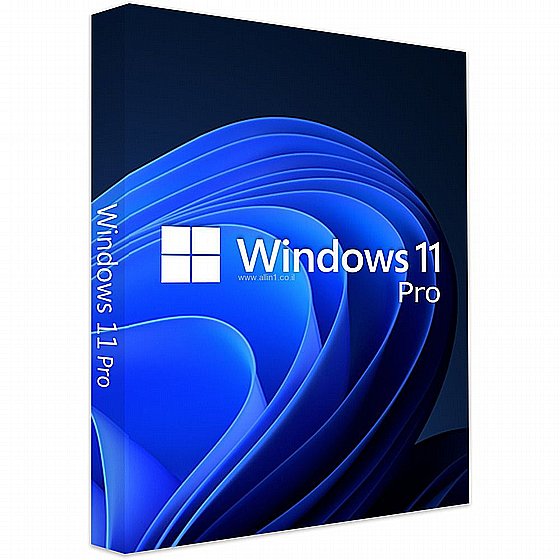 ������ ������� Microsoft Windows 11 Pro