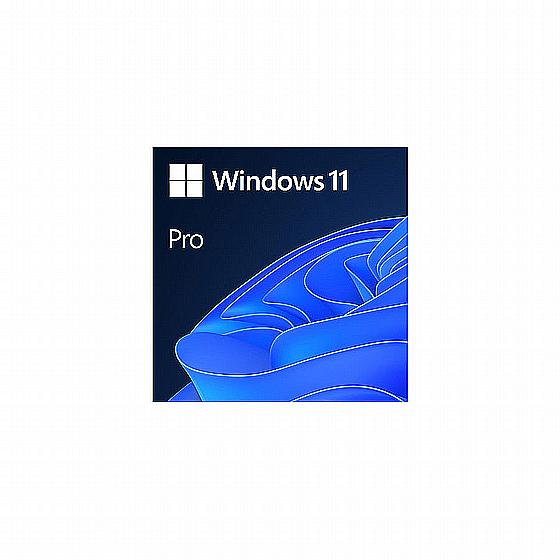�� ����� ������ ������� Microsoft Windows 11 Pro 64Bit ESD