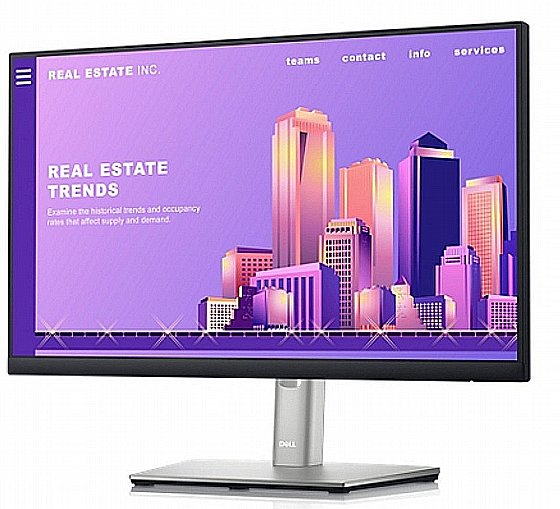 Dell 24 Monitor - P2422H -  60.5cm (23.8")
