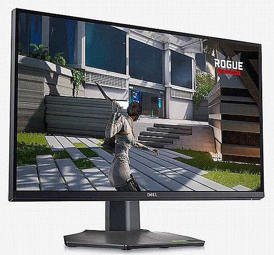 Dell 25 Gaming Monitor - G2524H - 62.23cm