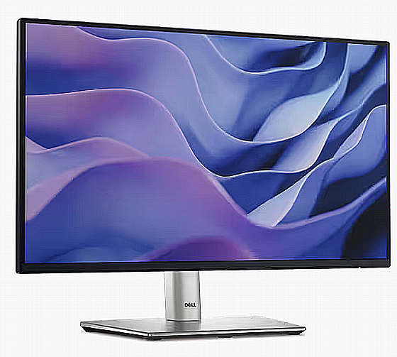 Dell 24 Monitor - P2225H -   (21.5")